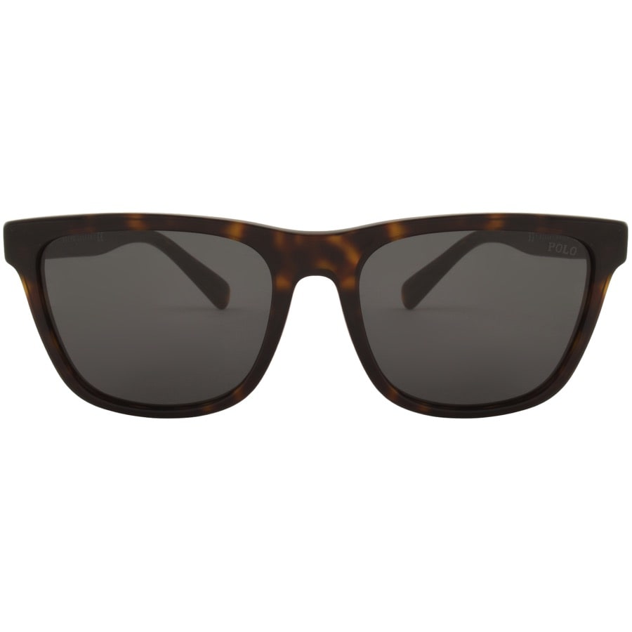 Alternative Image for ProductRalph Lauren Polo Player Sunglasses Brown2